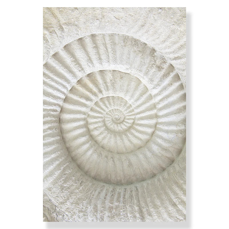 Seashell Whisper