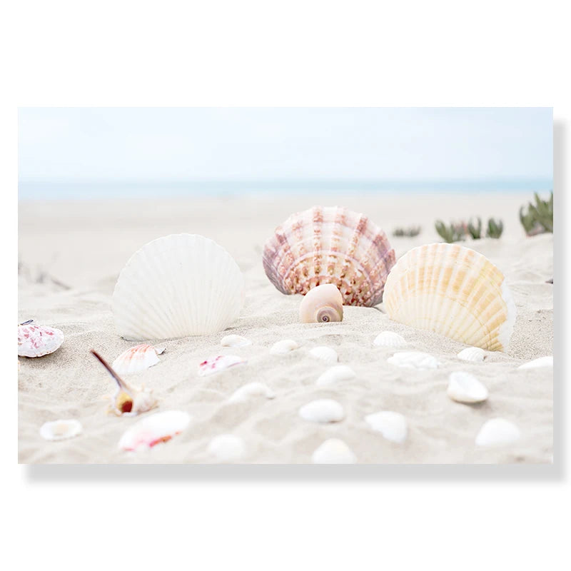 Seashell Whisper